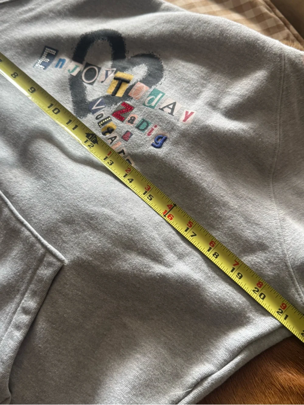 New Zadig & Voltaire Light Gray Graphic Hoodie with Multicolor Lettering - Picture 9 of 13